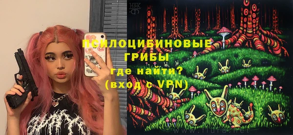 ешки Лабытнанги