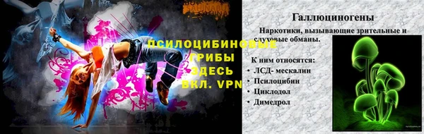 ешки Лабытнанги