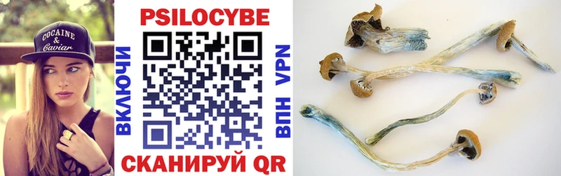 Псилоцибиновые грибы Psilocybine cubensis  Купить закладки  Большой Камень 